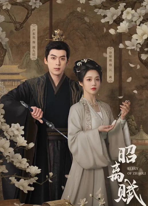20207920237用户上传近距离抄底妹子内裤 - OMO视频海报