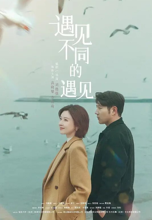 黄总寻欢高颜值长发妹子穿上黑丝高跟鞋舔弄翘屁股口交猛操 - OMO视频海报